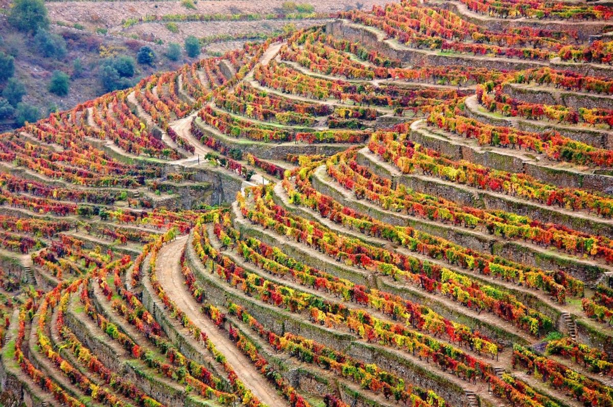 escapadinha de inverno em Portugal