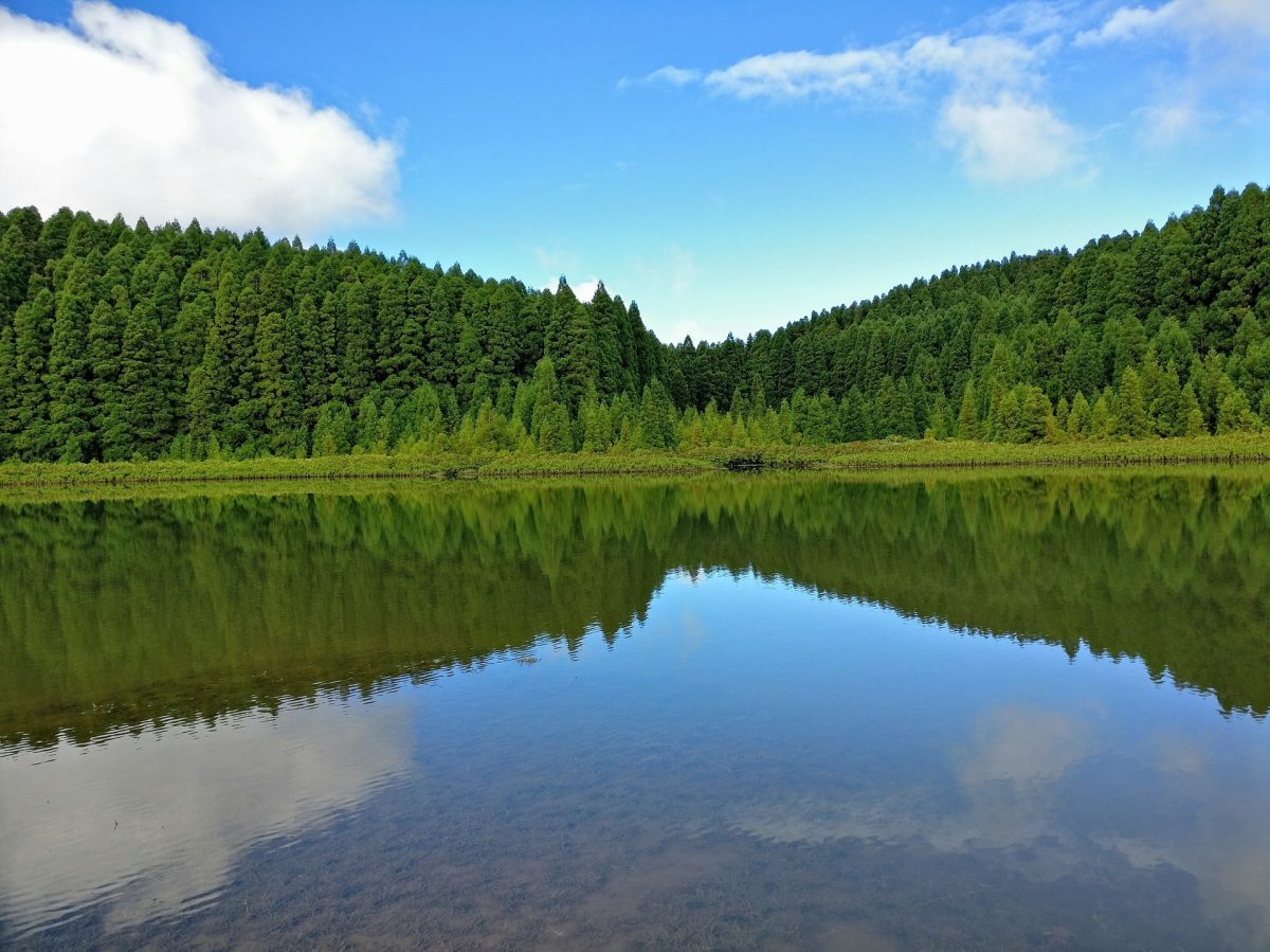 ir aos Açores