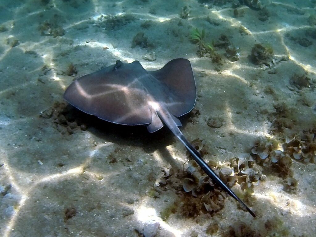 PARQUE NACIONAL CAHUITA