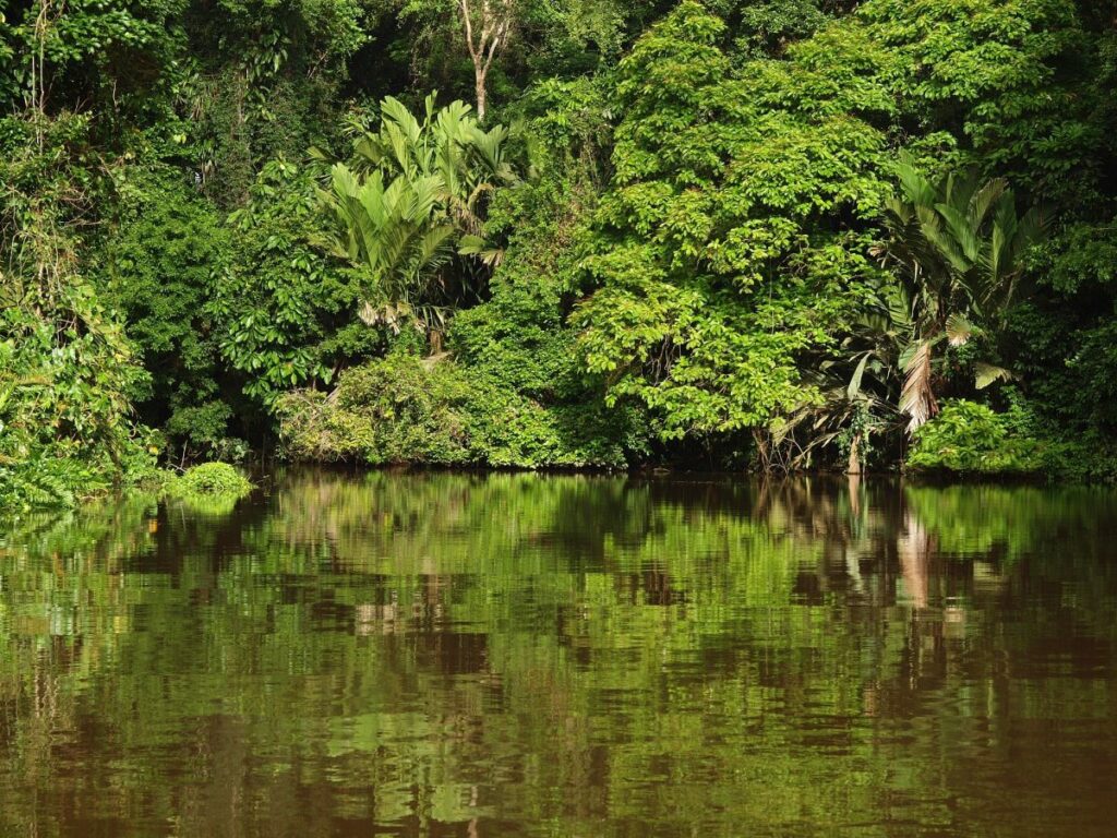PARQUE NACIONAL TORTUGUERO