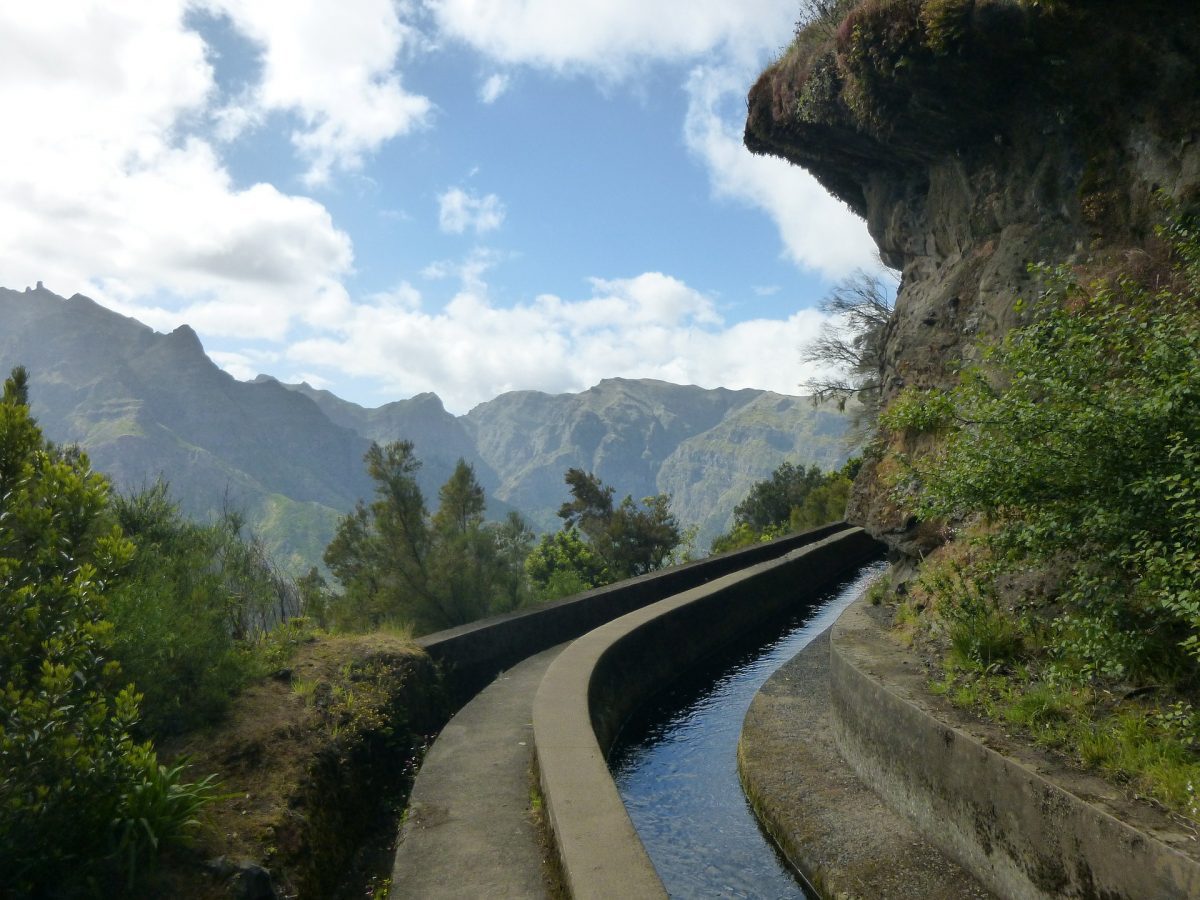 Festival da Natureza