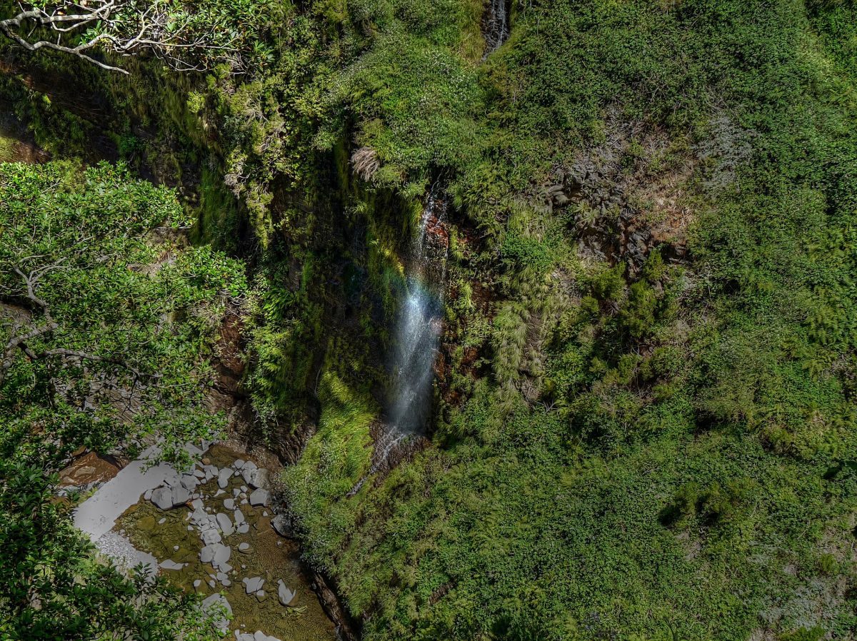 Curiosidades e tradições sobre a Ilha de Porto Santo