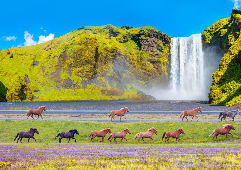 Cascata de Skogafoss / foto de muratart / shutterstock