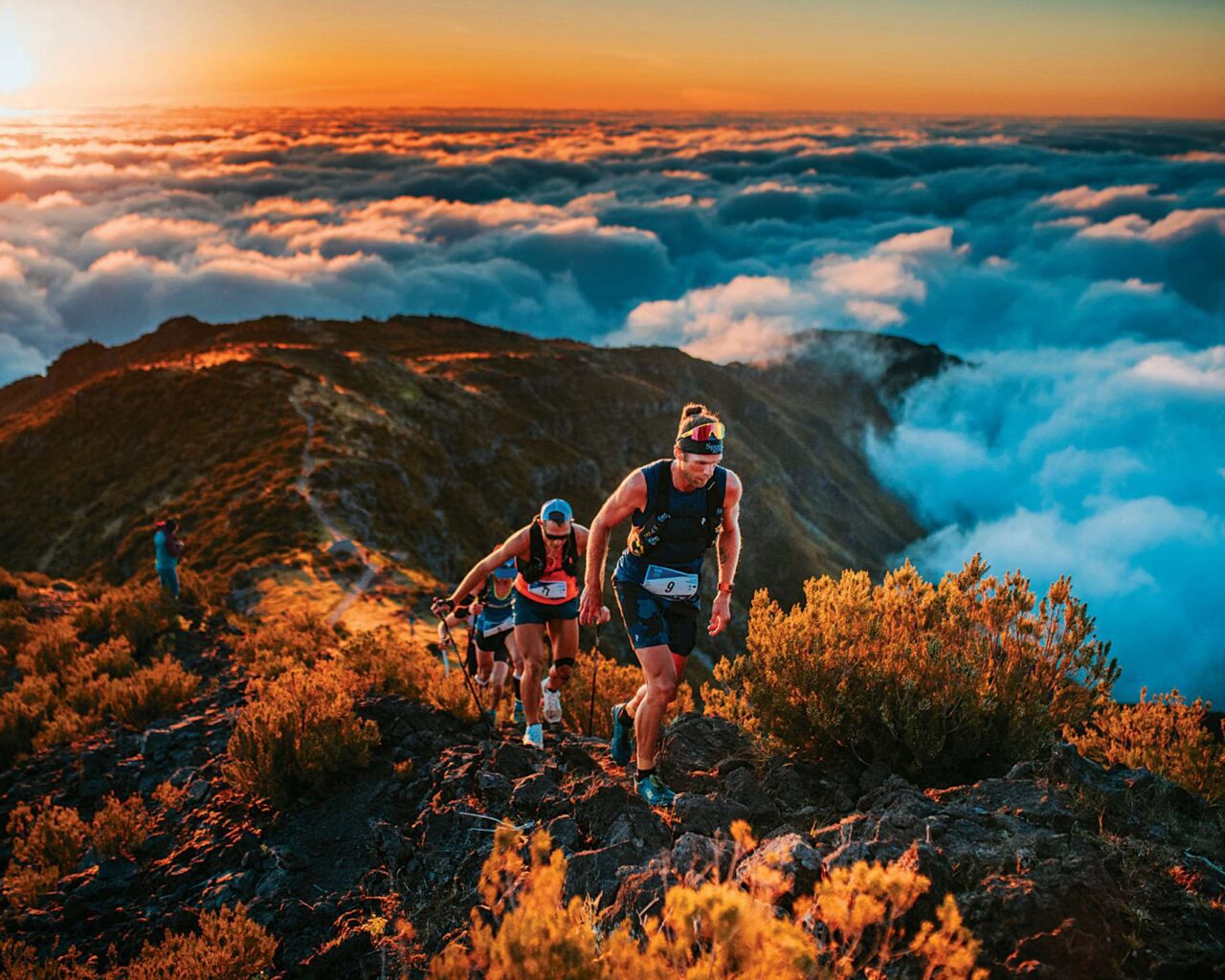 Trail Runnig / Photo by Associação de Promoção da Madeira