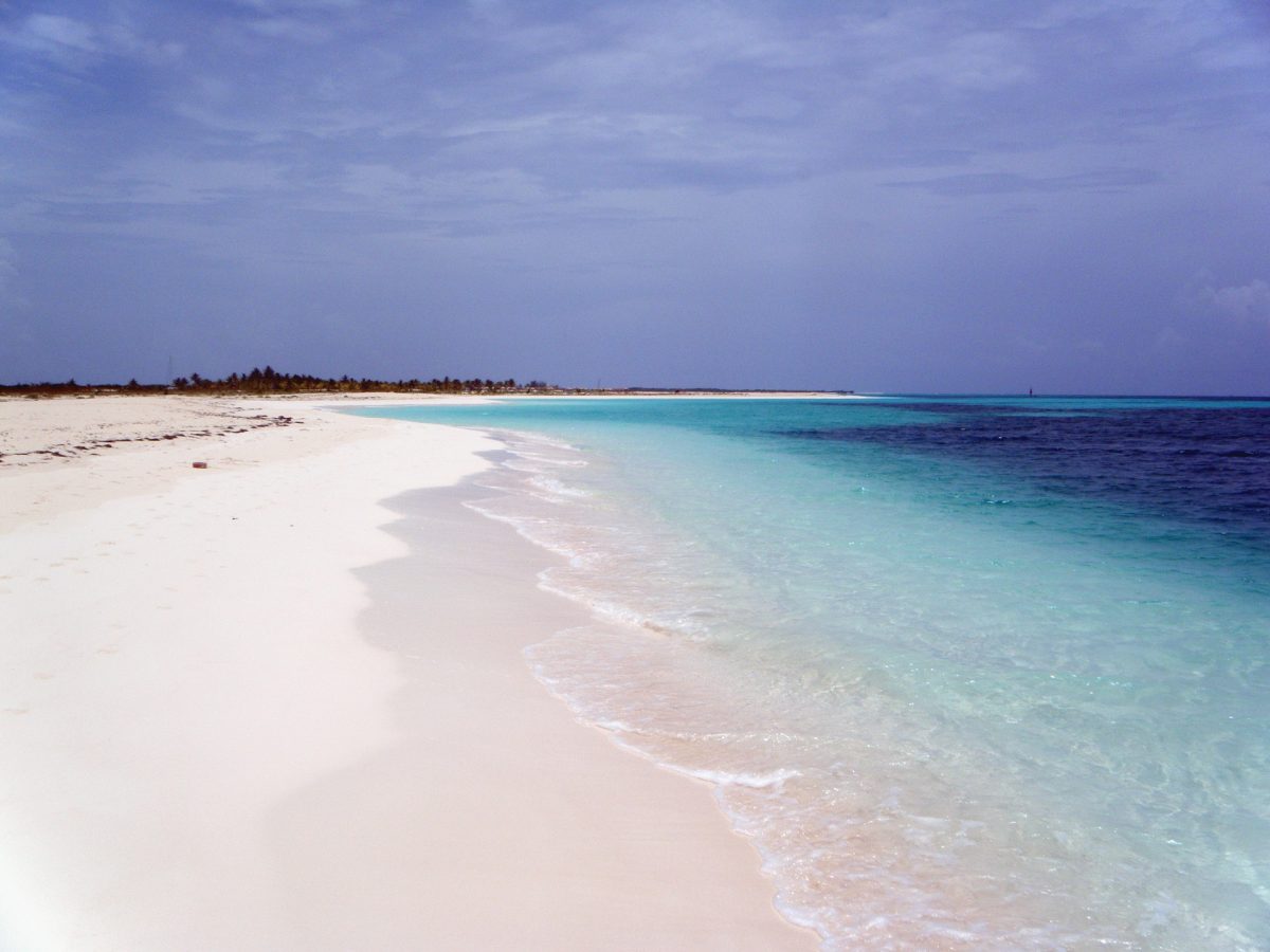 Cayo Jutías