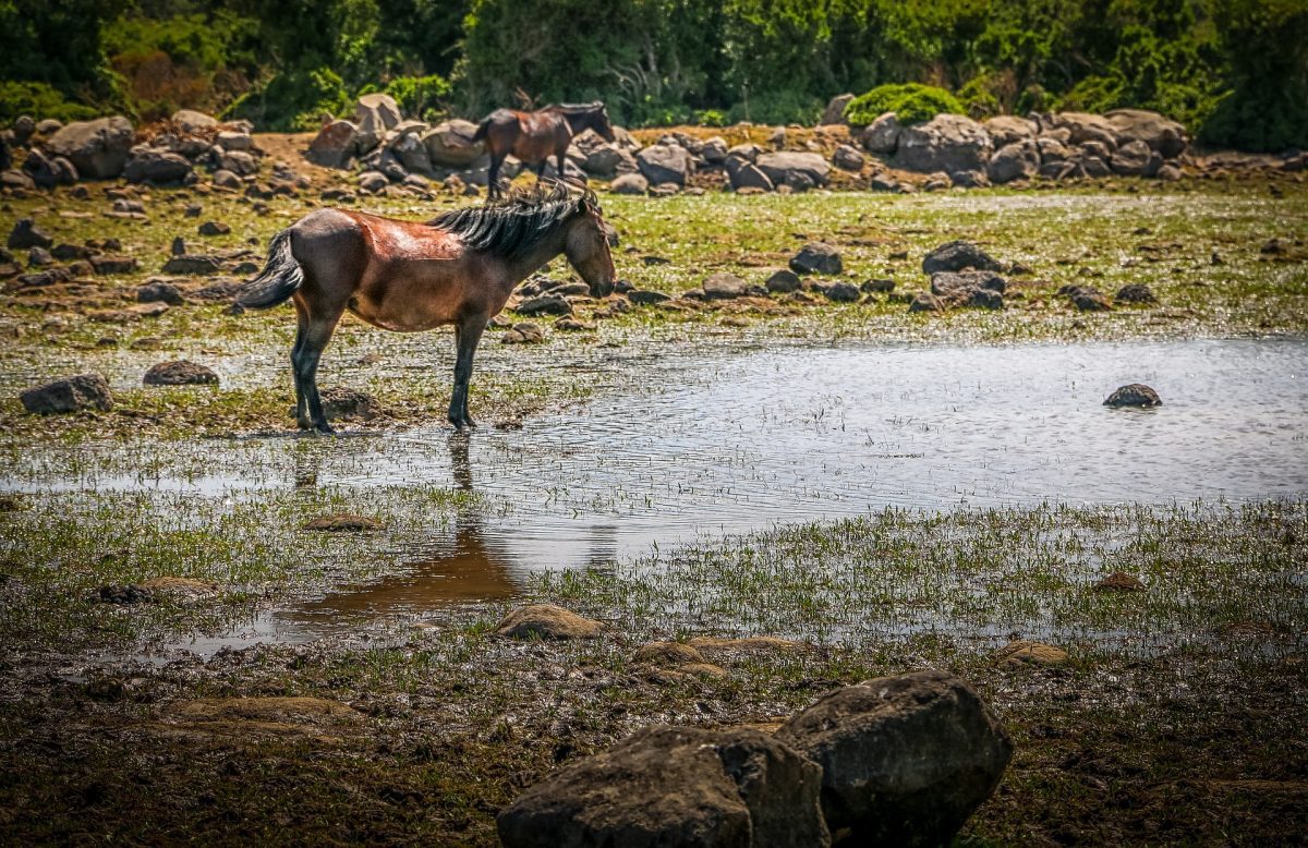 Gennargentu National Park