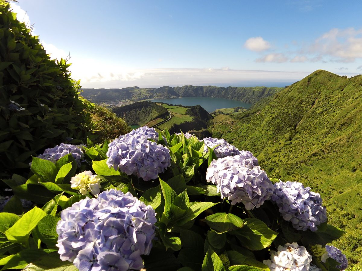 Hotel de 5 estrelas nos Açores