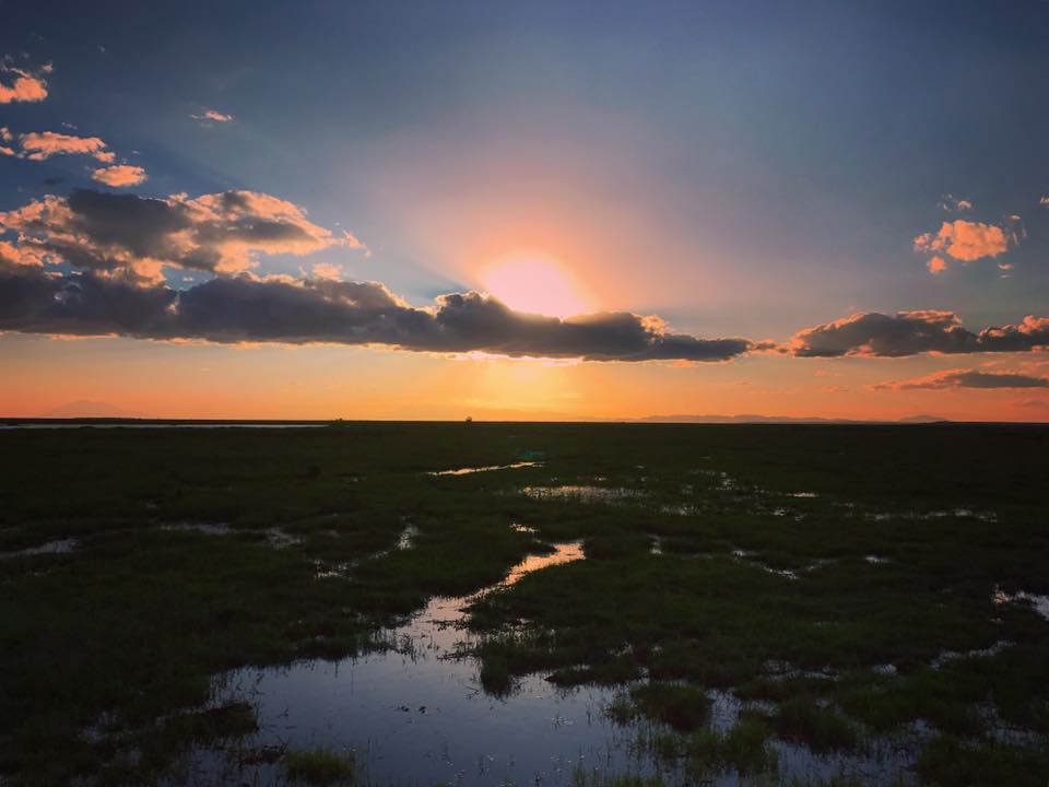 Sunset