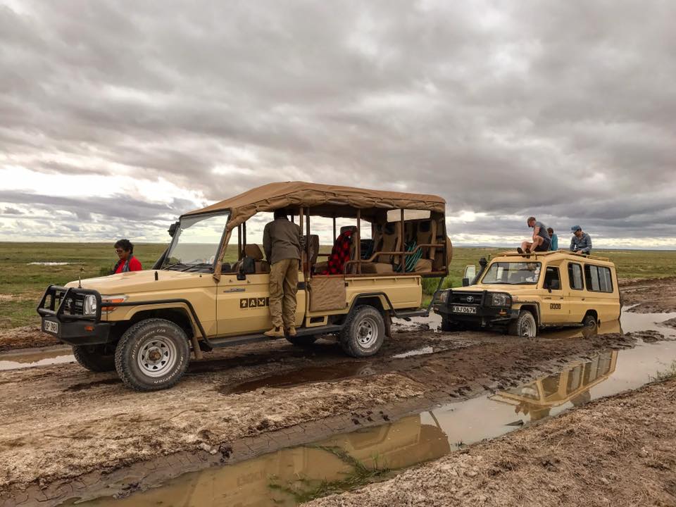 Safari