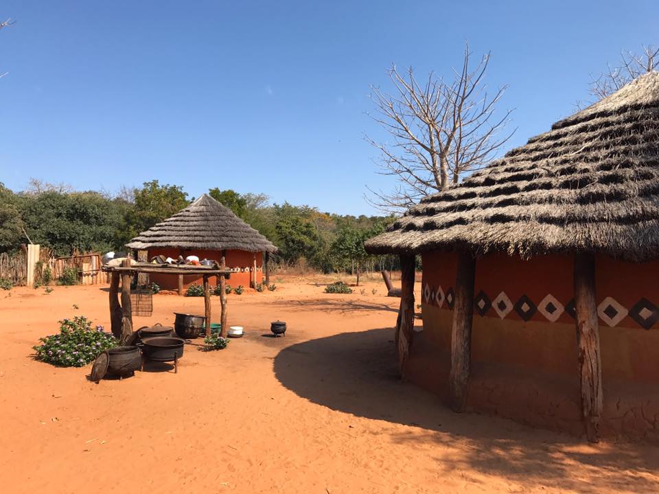 Volta ao Mundo por Pedro Guerra – Dias 28 a 31 – Zimbabwe 🇿🇼 Zambia 🇿🇲 Parte II