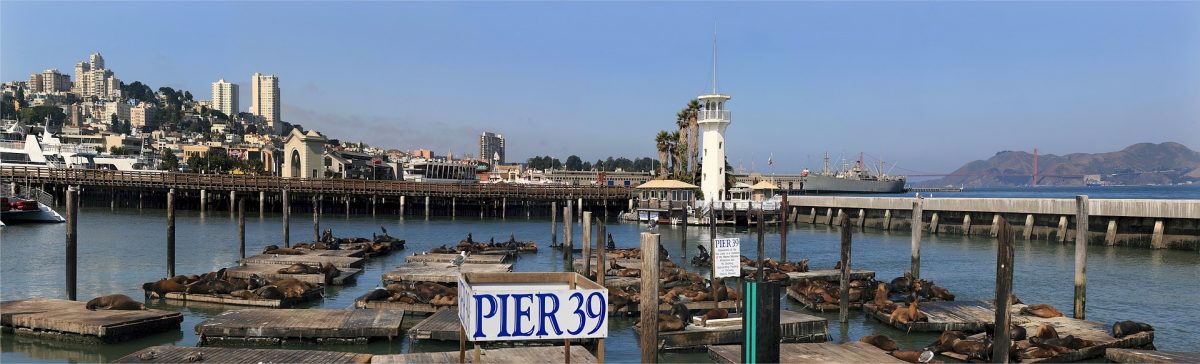 PIER 39