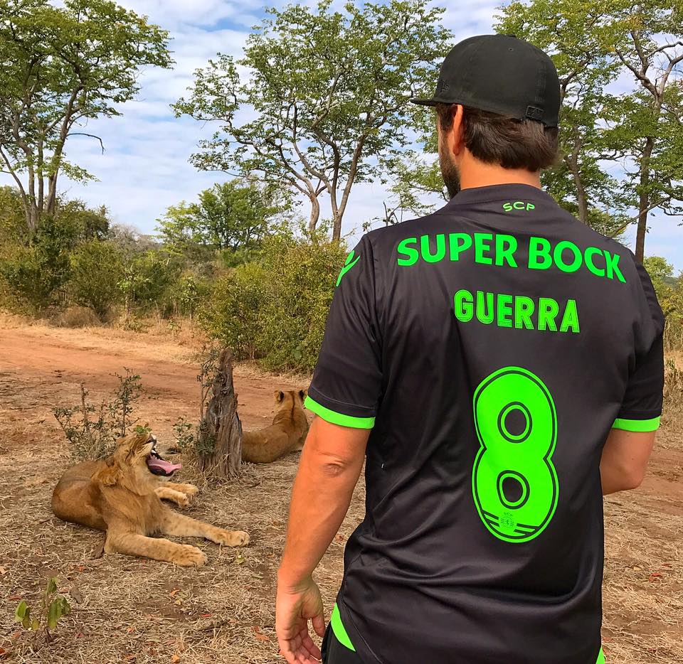 Volta ao Mundo por Pedro Guerra – Dias 28 a 31 – Zimbabwe 🇿🇼 Zambia 🇿🇲 Parte III