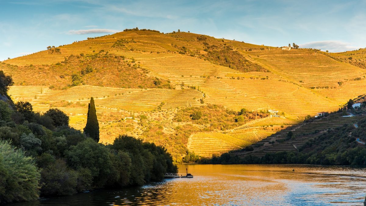 É desta que vai fazer uma escapadinha ao Douro?