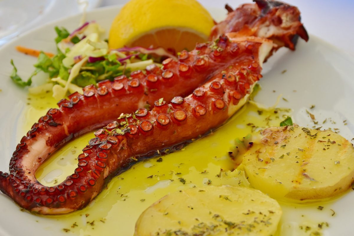 gastronomia no Douro