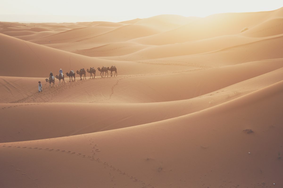 deserto Saara