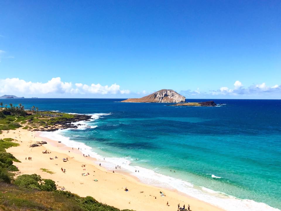 Volta ao Mundo por Pedro Guerra – Dias 56 a 63 🇦🇺 Tasmania 🇺🇸 Hawaii