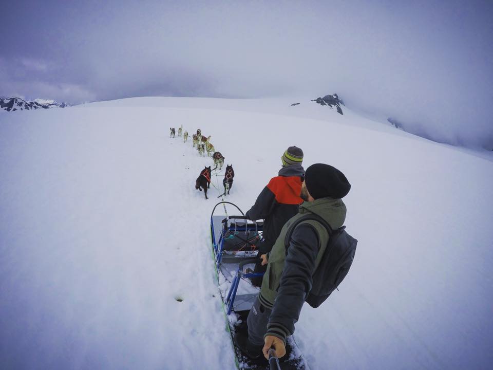 Huskies do Alaska