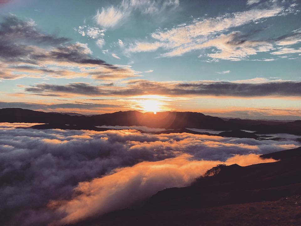 Tasmania