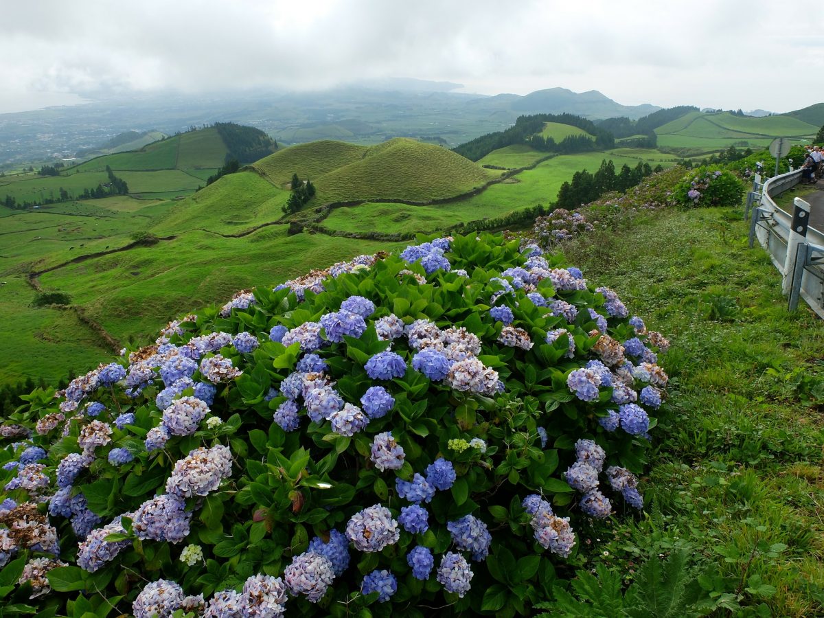 Açores