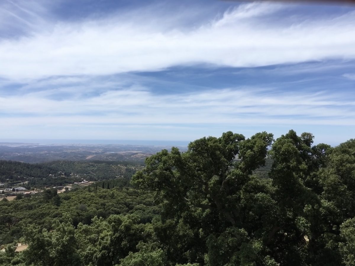 Serra de Monchique