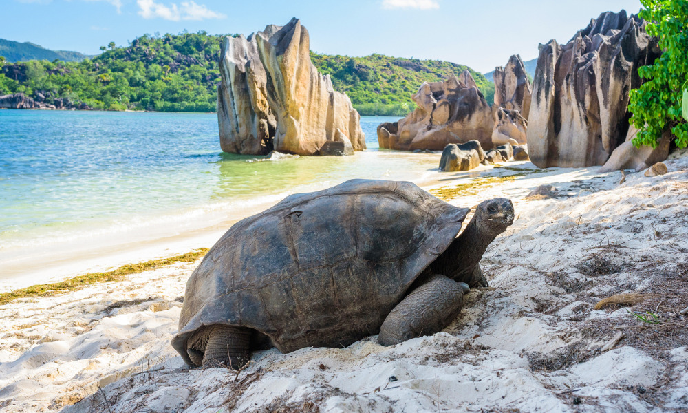 Seychelles