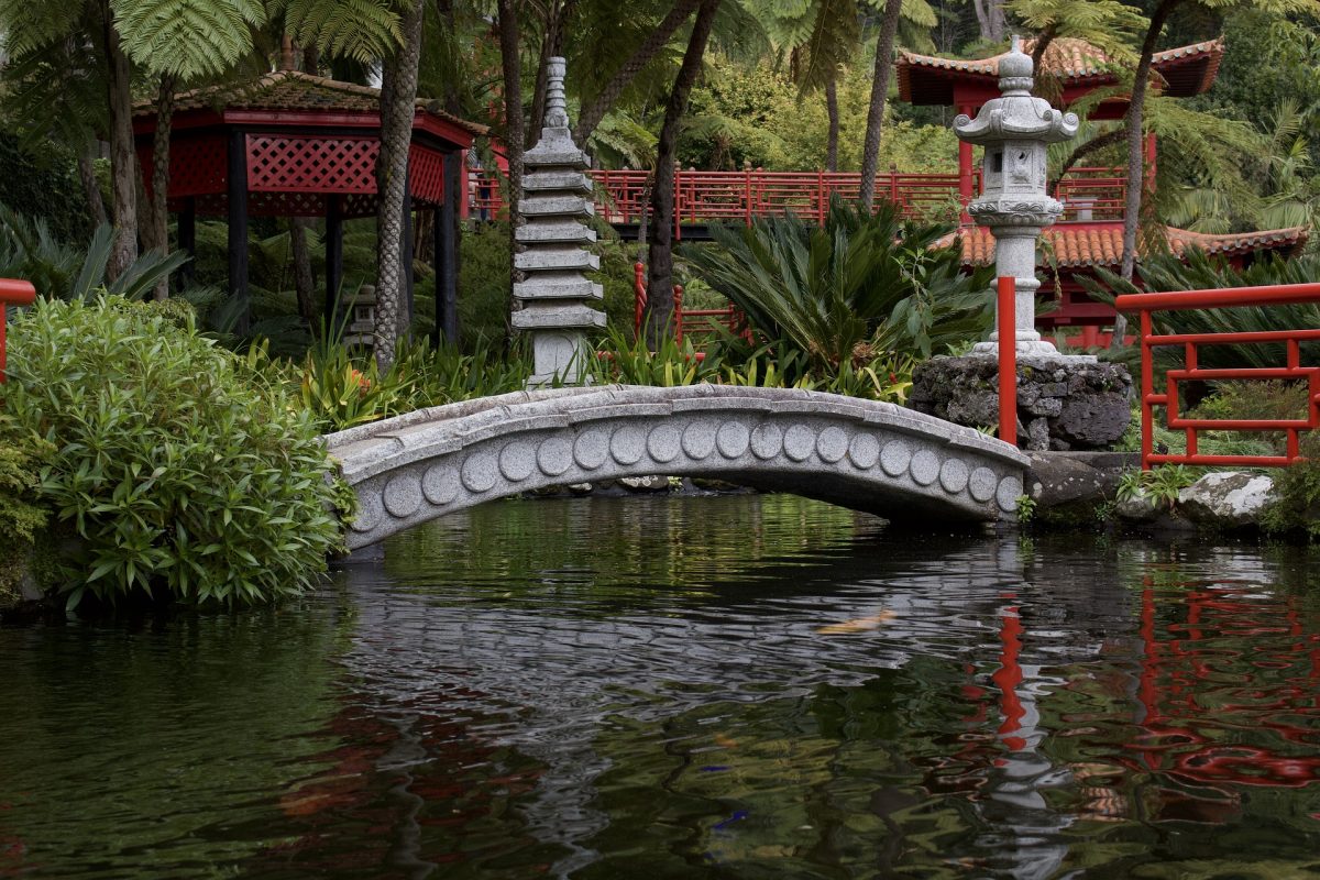 Jardim Tropical no cimo do Funchal
