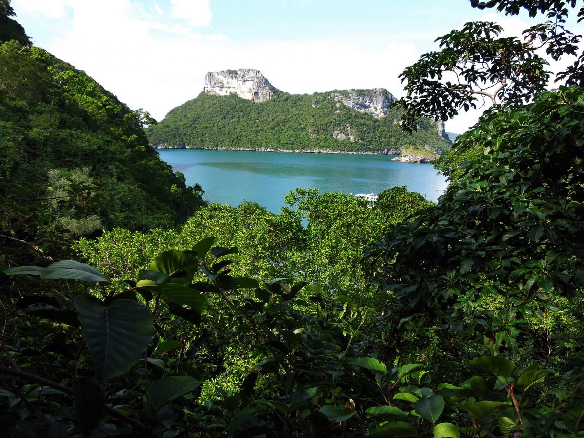 Mu Ko Ang Thong National Park