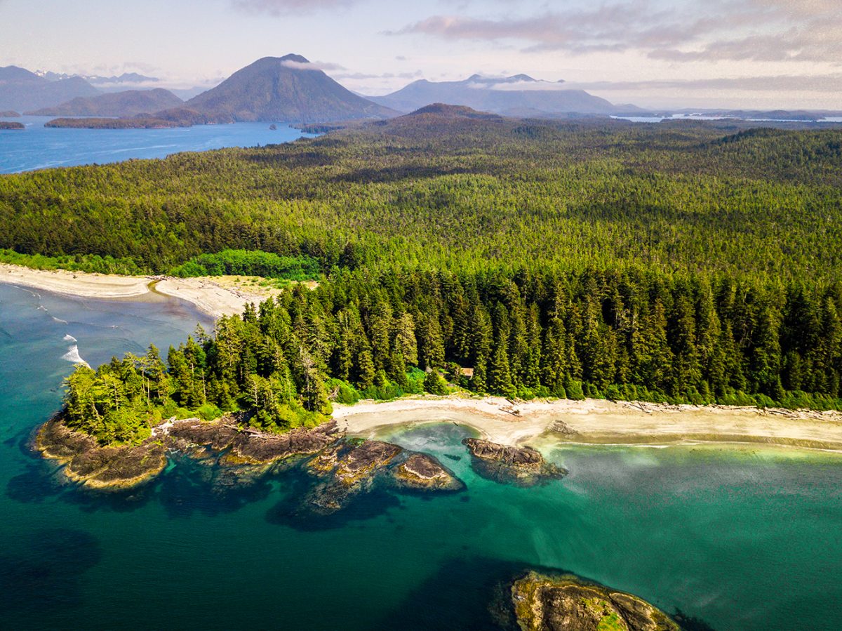Tofino