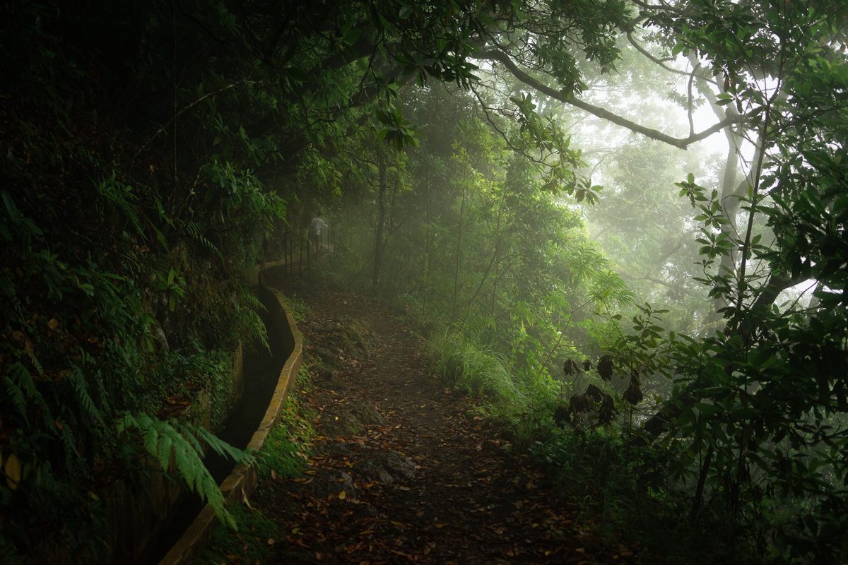 Descobrir as ilhas portuguesas: Madeira ou Açores?