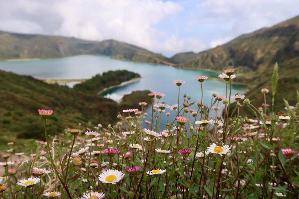 açores