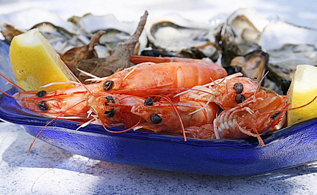 peixes e mariscos frescos