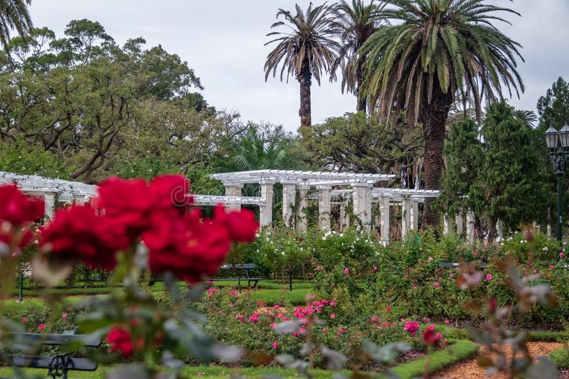 Parque Rosedal