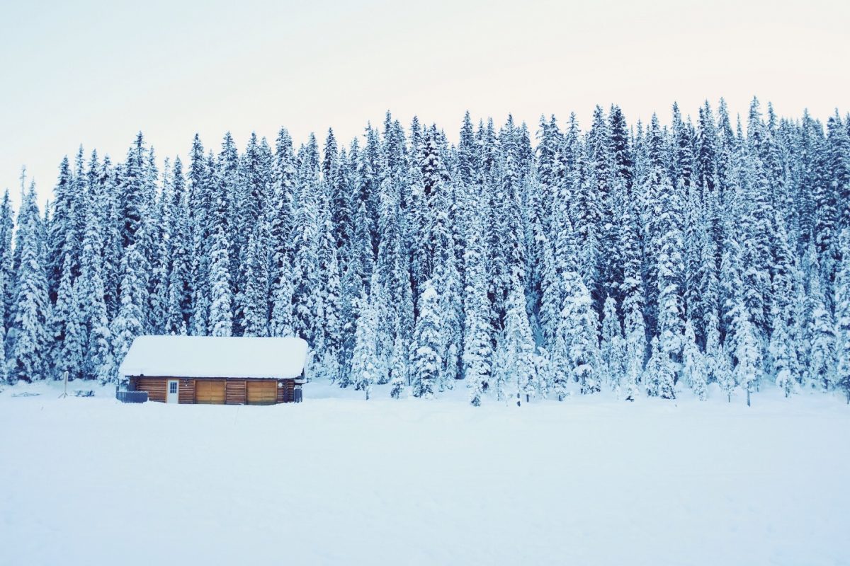 pinhal com neve