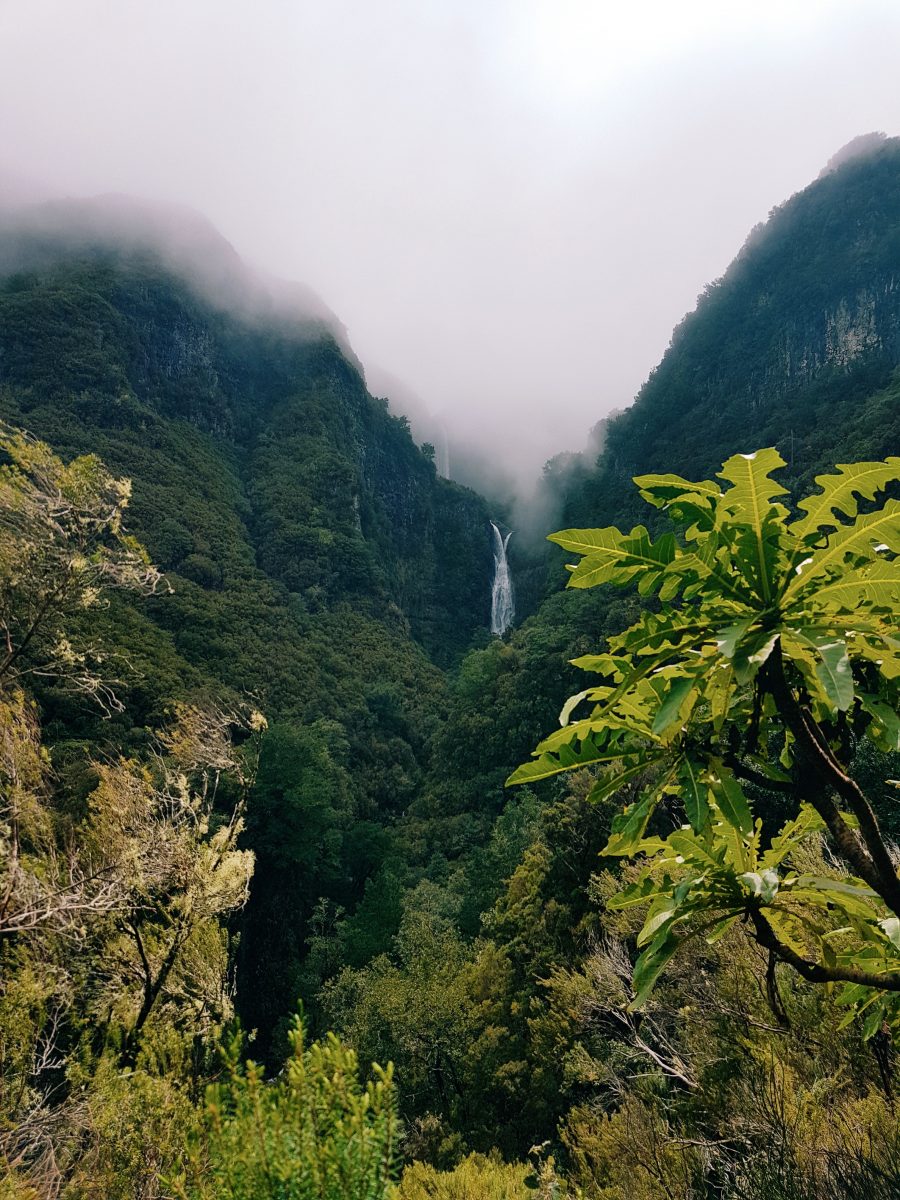 Ilha de Madeira