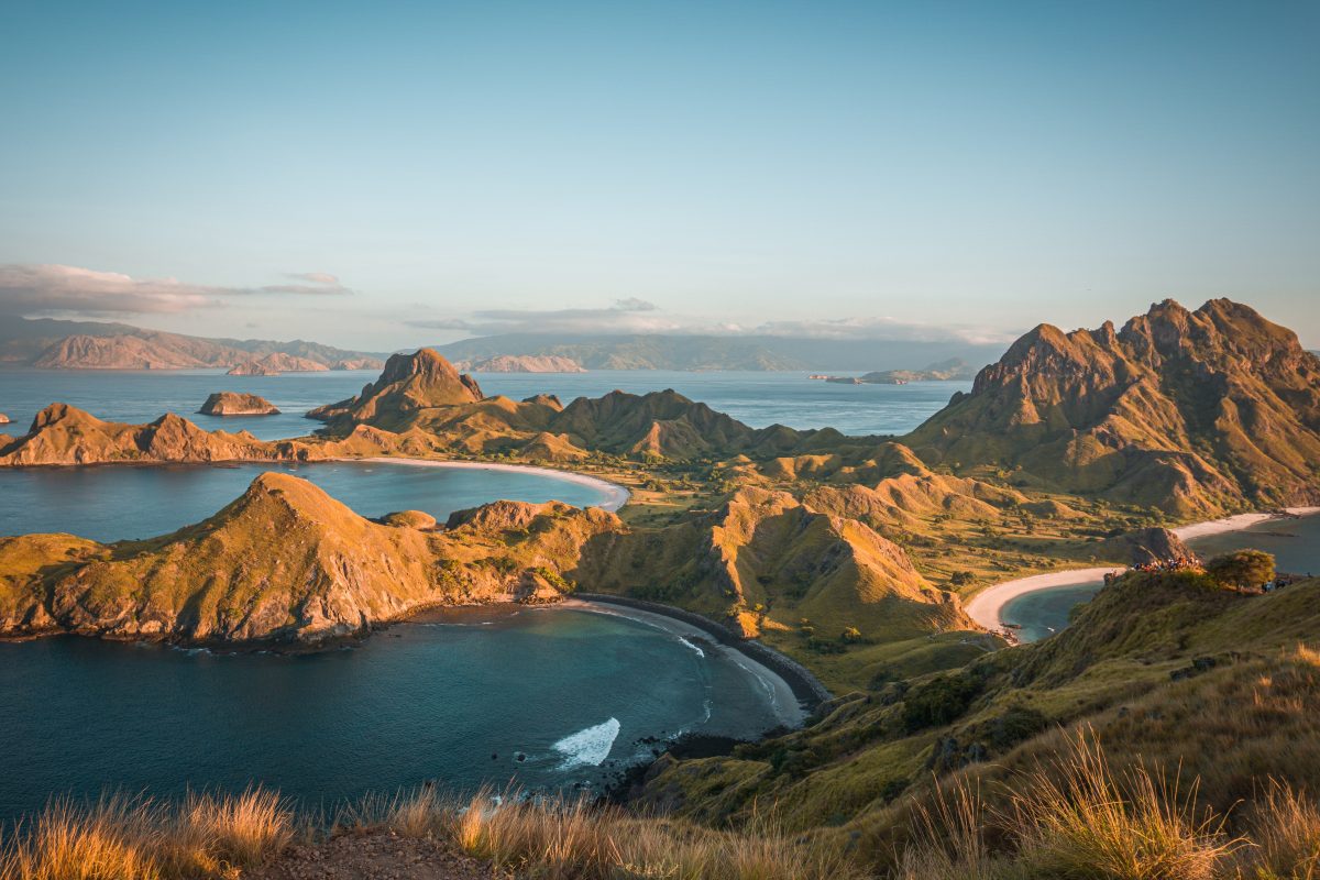 Dragão Komodo