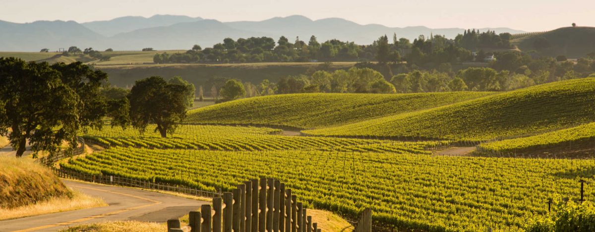 Santa Ynez Valley