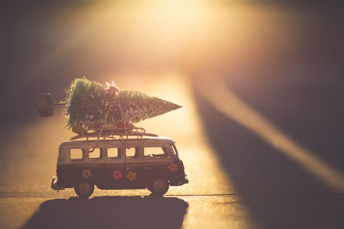melhor Cidade Natal no Mundo