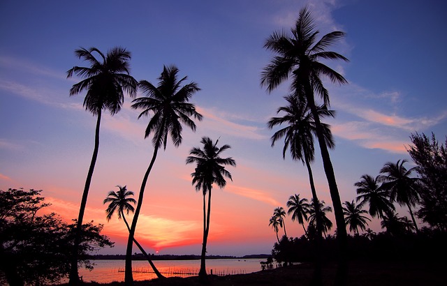 Bom ano! 5 viagens na nossa lista de desejos de viagens para si