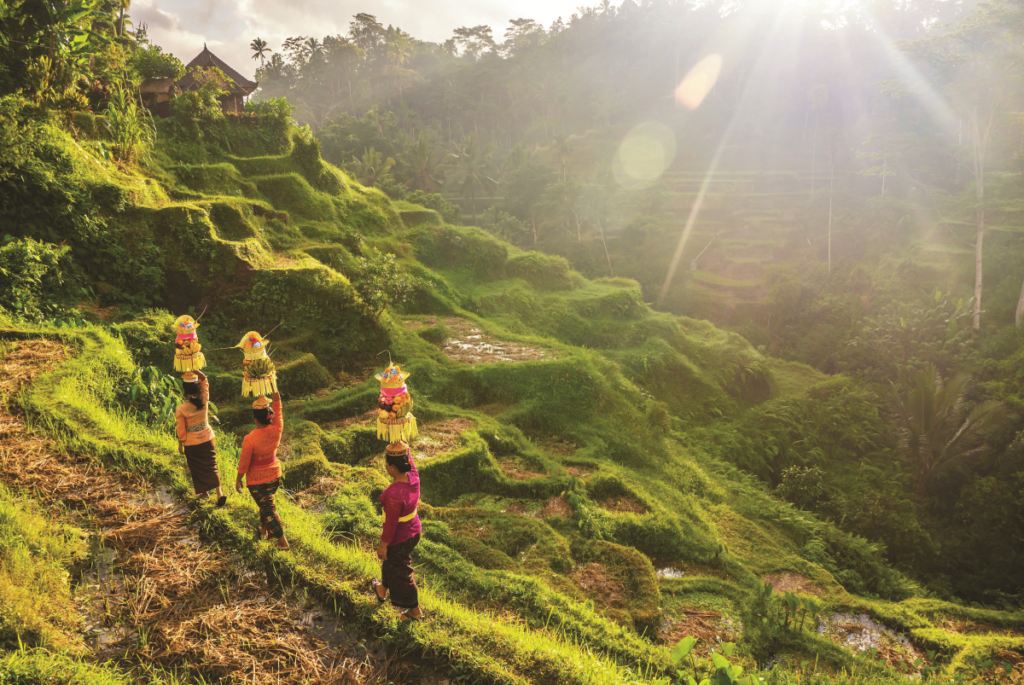 Ubud - Bali