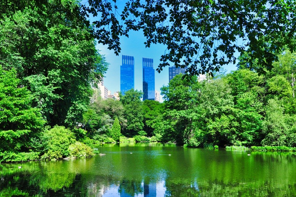 Central Park