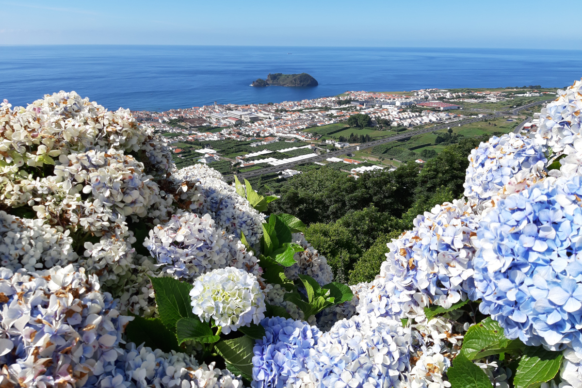 Crónicas de Viagens – Açores por Violeta Henriques
