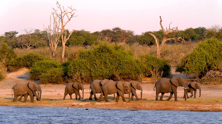 botswana