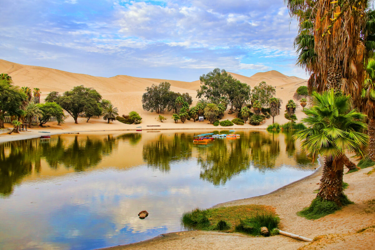 5 paraísos no meio do deserto!