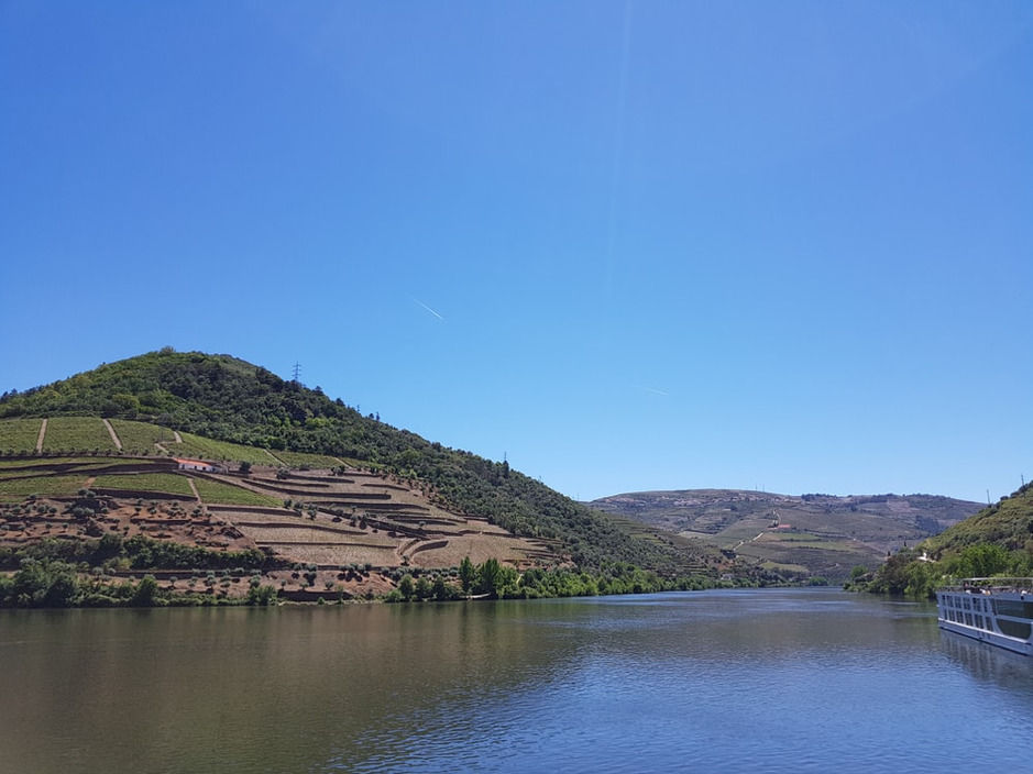 Pinhão
