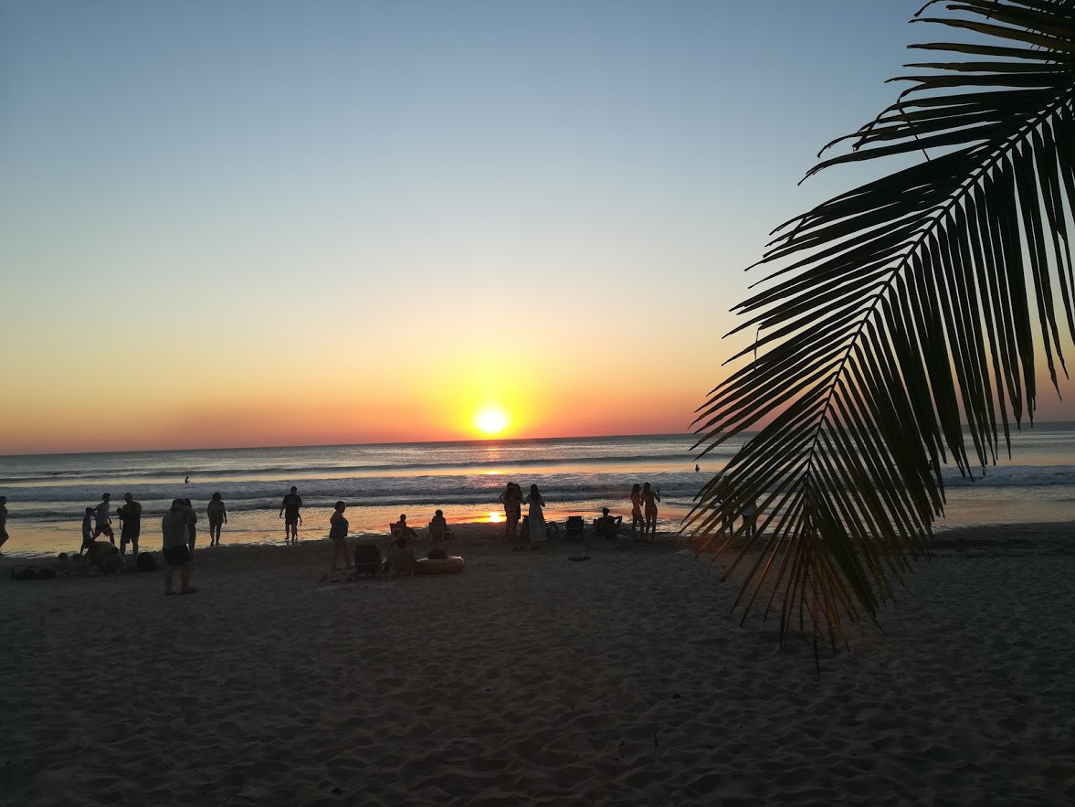 Playa Avellanas