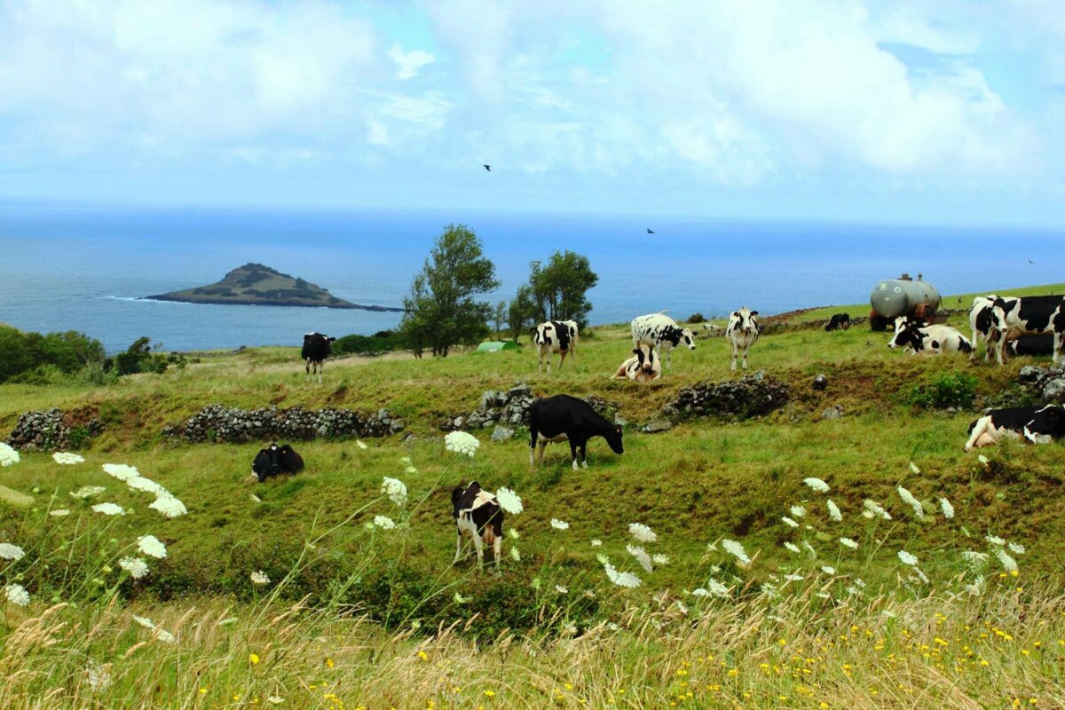 Crónicas de Viagens – Açores por Elisabete Silva