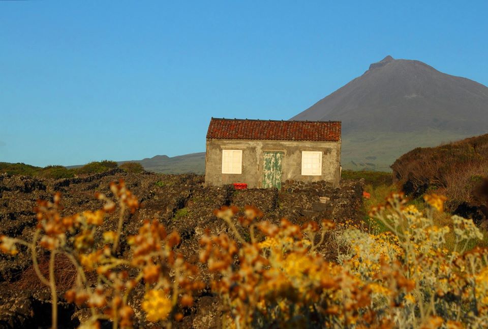Crónicas de Viagens – Açores por Elisabete Silva