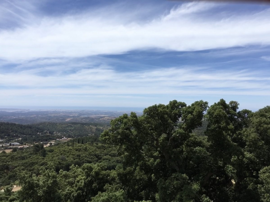 Serra de Monchique
