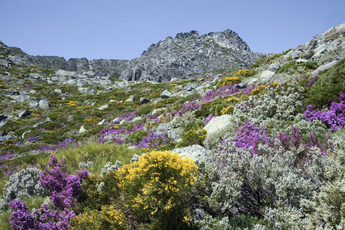 5 motivos para visitar a Serra da Estrela