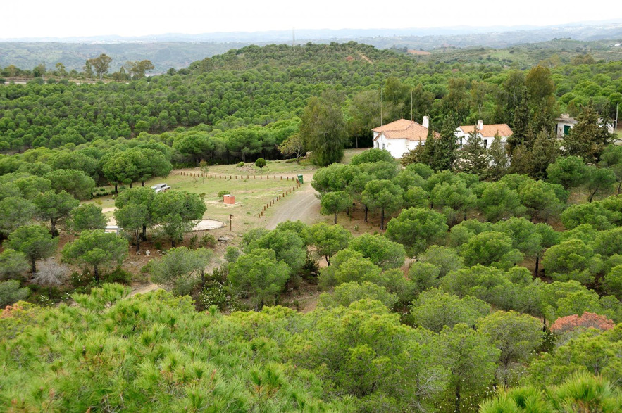 Mata Nacional das Terras da Ordem, Castro Marim